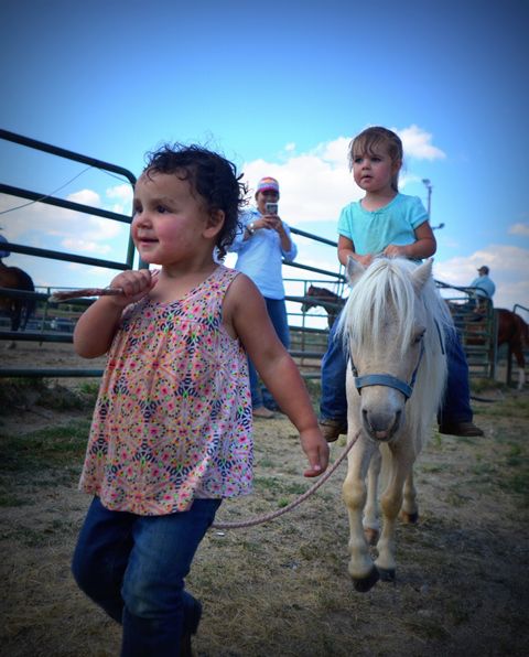 Cora Leads MCall and Scooter. Photo by Terry Allen.