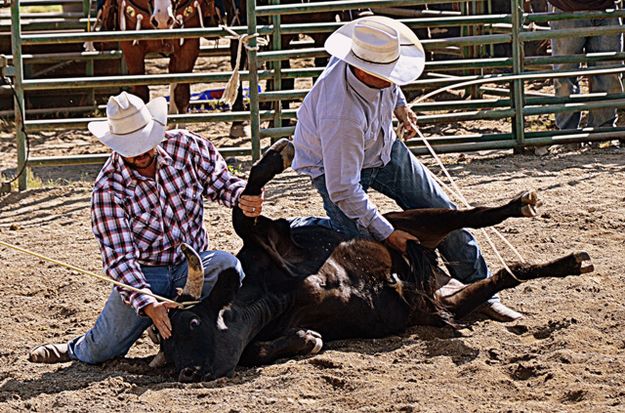 Roped and Tied. Photo by Terry Allen.