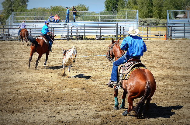 Head and Heel. Photo by Terry Allen.