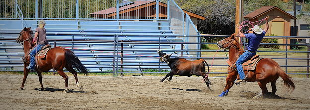 Heading and Heeling. Photo by Terry Allen.