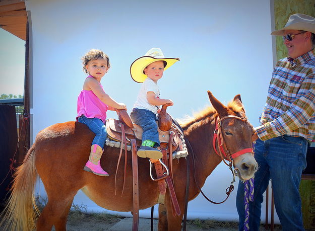 Cora, Jubal Lee and Merry Legs. Photo by Terry Allen.