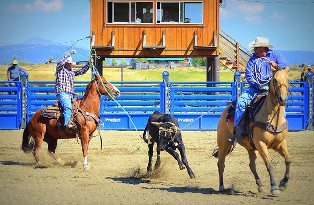 Head and Heel. Photo by Terry Allen.