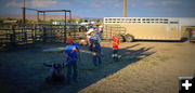 Roping Practice at Sunset. Photo by Terry Allen.