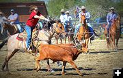 Steer Roping. Photo by Terry Allen.