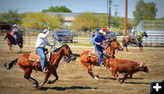 Heading and Heeling. Photo by Terry Allen.