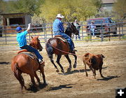 Heading and Heeling. Photo by Terry Allen.