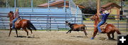 Heading and Heeling. Photo by Terry Allen.