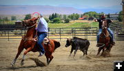 Heading and Heeling. Photo by Terry Allen.