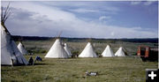 Tipees. Photo by .