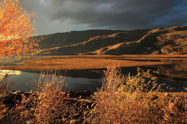 Incredible Light. Photo by Fred Pflughoft.