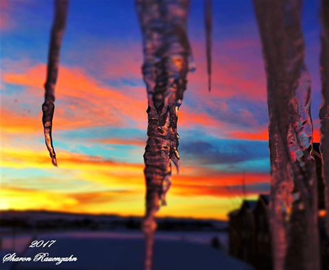 Icicle Sky Colors. Photo by Sharon Rauenzahn.