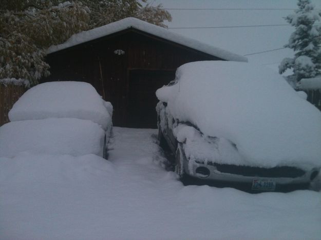 Buried. Photo by Dawn Ballou, Pinedale Online.