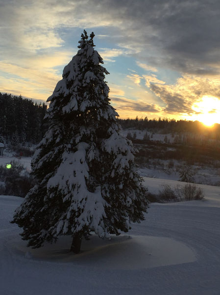 White Pine snow. Photo by White Pine Resort.