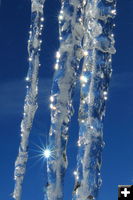 Icicle sunburst. Photo by Fred Pflughoft.