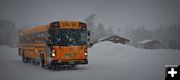 Getting the Kids Home. Photo by Terry Allen.