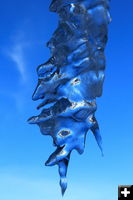 Blue icicle. Photo by Fred Pflughoft.