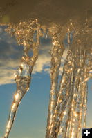 Icicle sticks. Photo by Fred Pflughoft.