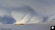 Winter at the Pape Ranches. Photo by Dave Bell.