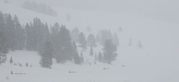 Snowy trail. Photo by Chris Havener, Pedigree Stage Stop Race.