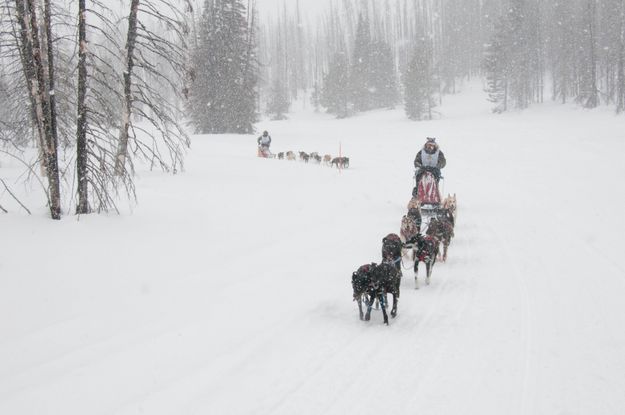 On the trail. Photo by Chris Havener, Pedigree Stage Stop Race.