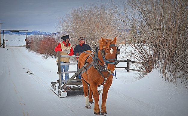 Riding Back Up. Photo by Terry Allen.