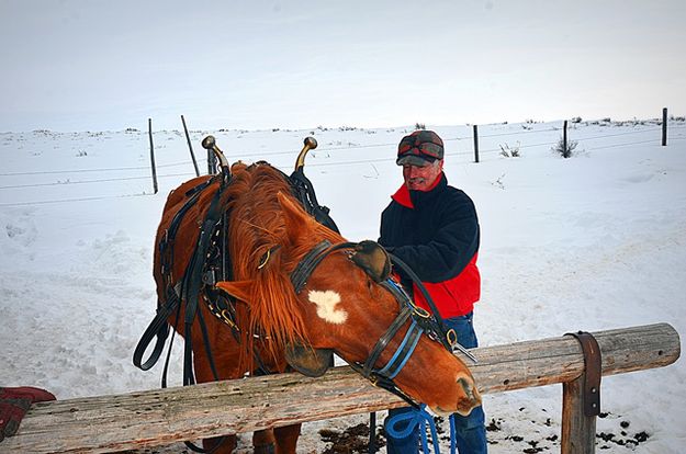 Tony Giving a Good Rub on Hitching Rail. Photo by Terry Allen.