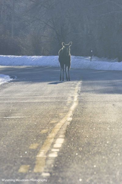 Oncoming traffic. Photo by Dave Bell.