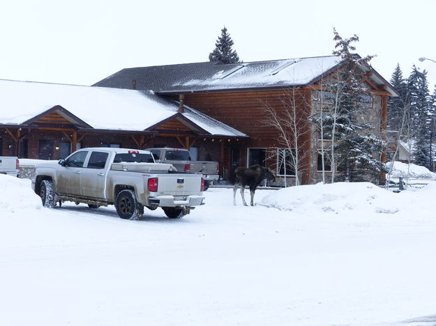 Welcoming the guests. Photo by Dawn Ballou, Pinedale Online.