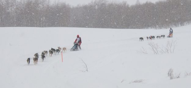 Into the open. Photo by Chris Havener, Pedigree Stage Stop Race.