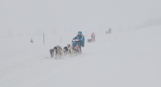 3 teams. Photo by Chris Havener, Pedigree Stage Stop Race.