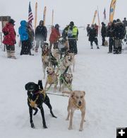 Race start. Photo by Chris Havener, Pedigree Stage Stop Race.