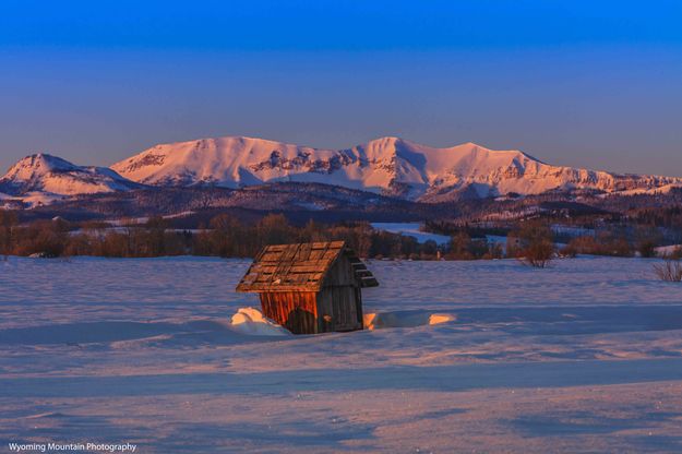 Cold business. Photo by Dave Bell.