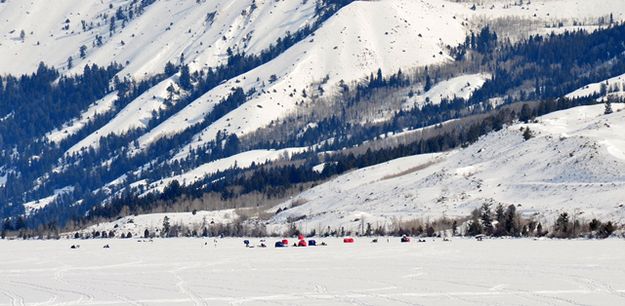 Betting on a Spot. Photo by Terry Allen.