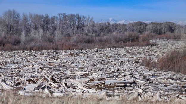 Ice Jam on the Green River. Photo by Dave Bell.