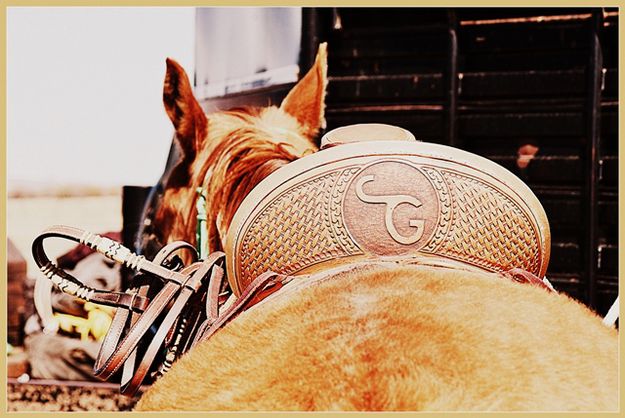 A Working Horse and Saddle. Photo by Terry Allen.