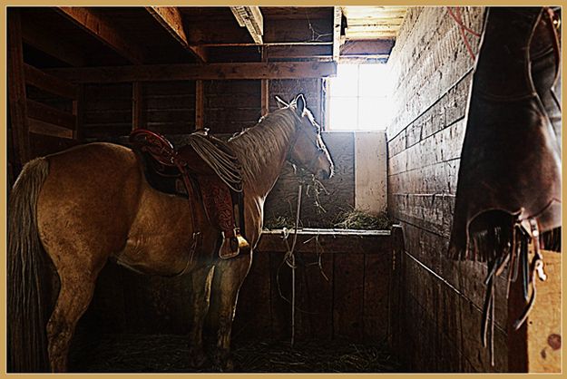 Branding Done, Horse Being Fed, Chaps Hung Up. Photo by Terry Allen.