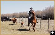 Bringing Him to the Fire. Photo by Terry Allen.