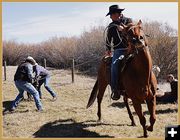 Ready to Throw the Calf. Photo by Terry Allen.