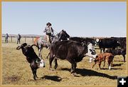 Belly Roped. Photo by Terry Allen.