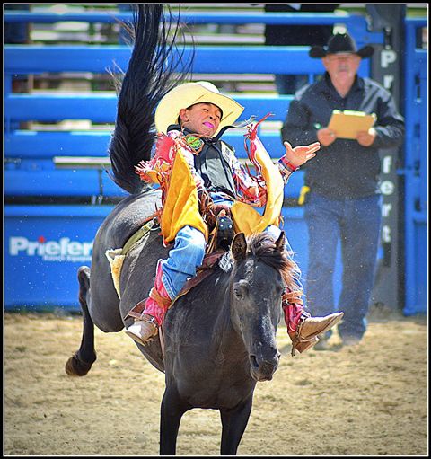 Buck. Photo by Terry Allen.