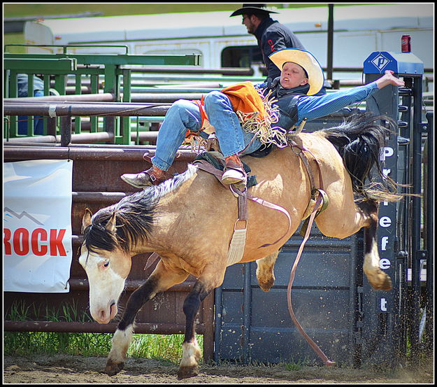 Waylen Daly. Photo by Terry Allen.