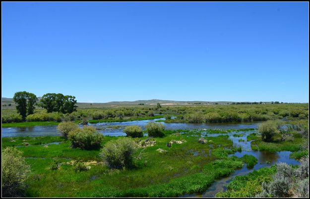 Confluence of Pine Creek and New Fork. Photo by Terry Allen.