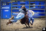 Flying to the Rescue. Photo by Terry Allen.