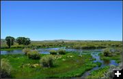 Confluence of Pine Creek and New Fork. Photo by Terry Allen.