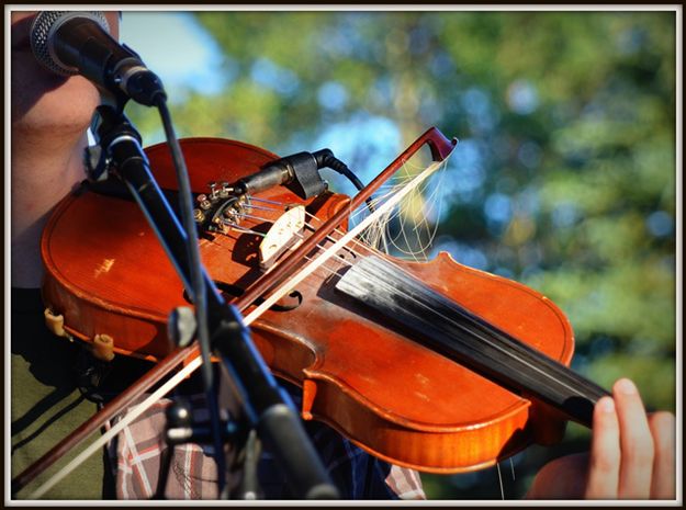 Rosin Up the Bow. Photo by Terry Allen.