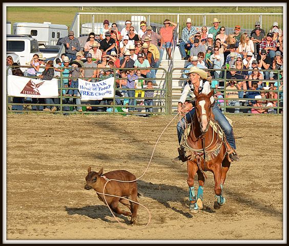 Got Him. Photo by Terry Allen.