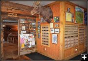 Get Your Mail and Head to the Bar. Photo by Terry Allen.