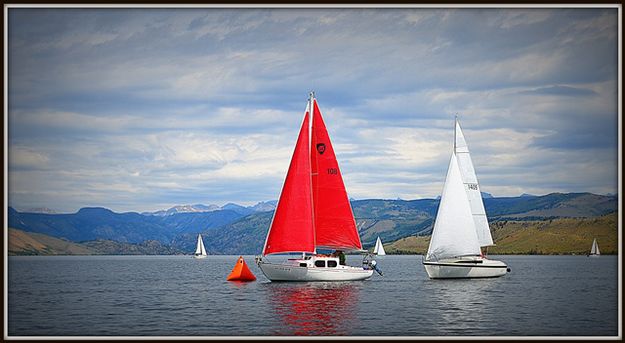 The Start. Photo by Terry Allen.