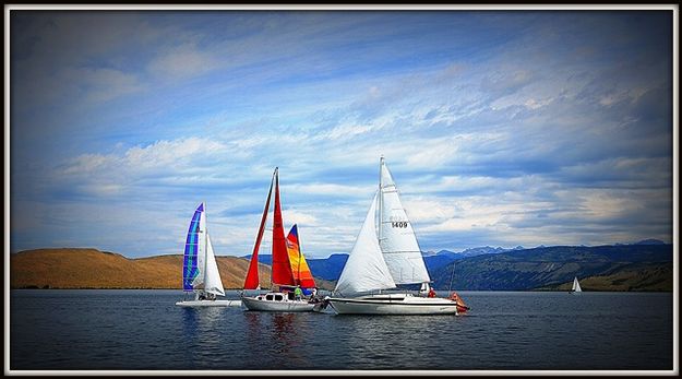 A Nice Flotilla. Photo by Terry Allen.