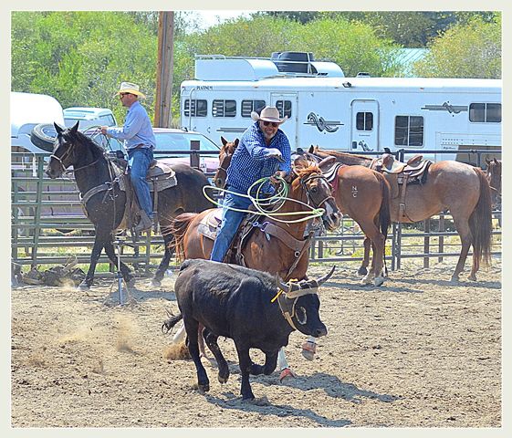 Throwing for the Head. Photo by Terry Allen.